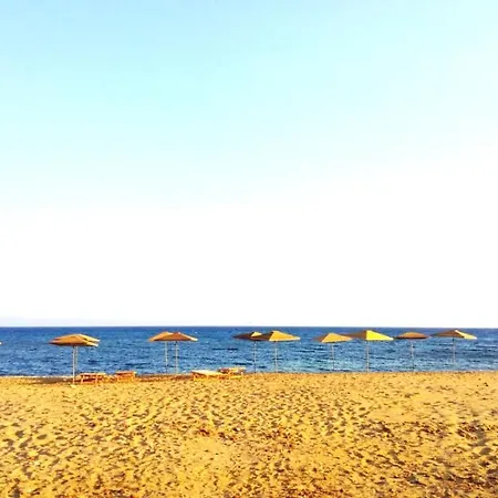 Margaret House 100 Meters From The Sandy Beach, Parking & Wifi Holiday home *